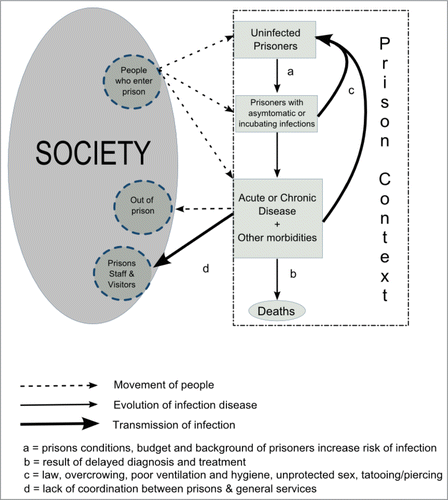 Figure 2. Transmission of communicable diseases inside and beyond prisons. Figure modified from Guidelines for the Control of Tuberculosis in Prisons, WHO 1998.Citation153