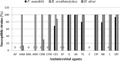 Figure 2. Sensitivity of the 160 Gram-negative strains isolated from the sediments of Kardzhali Dam (P. mandelii – 100 strains; H. alvei – 30 strains; and R. ornithinolytica – 30 strains).