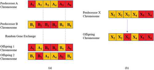 Figure 3. Reproduction operation: (a) crossover and (b) mutation operations.