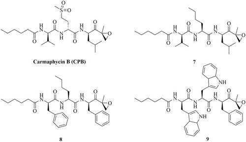 Figure 7 Anti-schistosomiasis peptidyl epoxyketone derivatives.