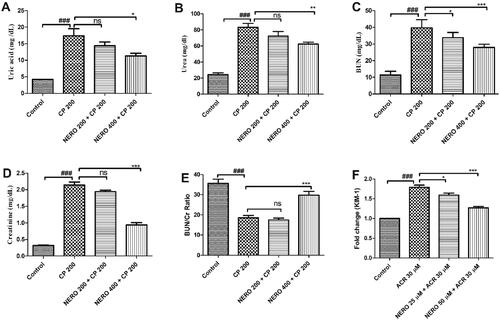 Figure 5. (A-E) Showing the effect of nerolidol 200 and 400 mg/kg, p.o against cyclophosphamide-induced markers of renal injury in serum such as uric acid, urea, blood urea nitrogen-creatinine ratio (BUN: Cr ratio), creatinine, and BUN in the renal tissue. Figure F represents the kidney injury molecule-1 (KIM-1) expression in the in vitro study. One-way ANOVA i.e., tukey’s multiple comparison test was used for statistical analysis.