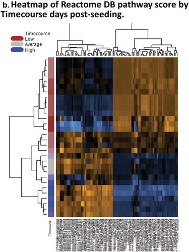 Figure 2. (Continued).