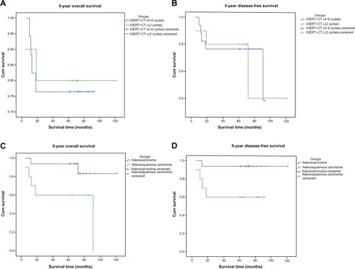 Figure 1 Survival analysis in advanced adenocarcinoma of the uterine cervix after IOERT.