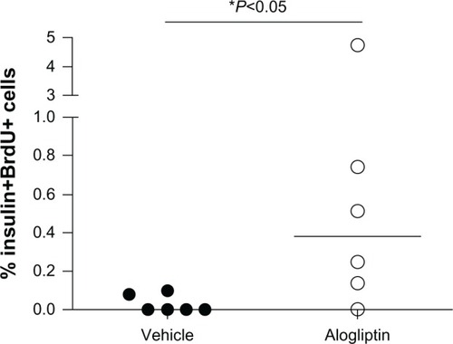 Figure 4 Induction of human beta cell proliferation with alogliptin treatment of islet engrafted mice. Percent human beta cell proliferation in islet grafts from vehicle control (n=6 total, 2 per islet donor) and alogliptin-treated (n=6 total) mice.