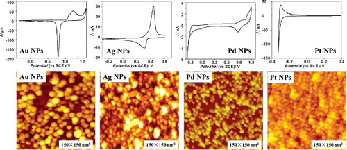 Figure 4. CV and STM images of the Au NPs, Ag NPs, Pt NPs, Pd NPs after modified on Au electrode (150 × 150 nm2).