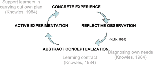 Figure 1. Kolb's model of experiential learning, overlapped with Knowles principles of andragogy.