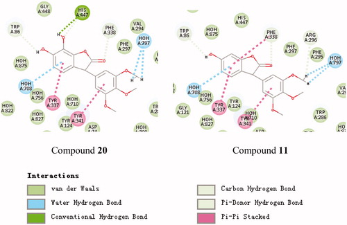 Figure 2. Schematic presentations of the putative AChE binding modes with compound 20 and compound 11.