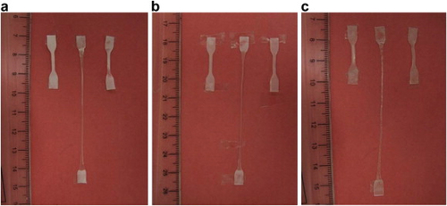 Figure 11. Shape memory tests of PCL–PEG TPUs hot-pressed film: (a) [PCL]100, (b) [PCL]50–[PEG]50, and (c) [PEG]100, reprinted with permission from [Citation33], copyright reserved Elsevier 2012.