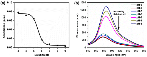 Figure 2. Change in (a) absorbance and (b) fluorescence spectra of the polymer P3 (20 μmol) in Tris buffer (10 mmol) at different pH.