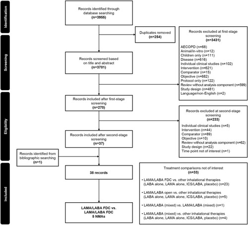 Figure 2 Flow of NMA studies through the systematic review process.