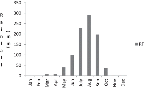 Figure 3. Monthly rainfall distribution during 2016 at Minjar.
