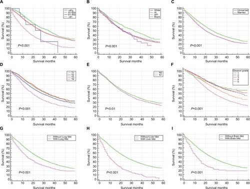 Figure 2 Kaplan–Meier analysis of overall survival among prostate cancer patients who were diagnosed with BM, when stratified by age (A), race (B), marital status (C), T stage (D), N stage (E), Gleason grade (F), and the presence of lung metastases (G), liver metastases (H), and brain metastases (I).Abbreviations: BM, bone metastases; Lung Met, lung metastases; Liver Met, liver metastases; Brain Met, brain metastases; AI, American Indian/Alaska Native; API, Asian or Pacific Islander; y, years.