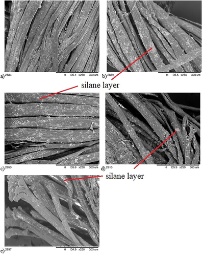 Figure 4. SEM images of untreated and treated nettle fibers a) pure nettle fiber b) 1%NH2 nettle c) 2%NH2 nettle d) 1%Cl nettle e) 2%Cl nettle.
