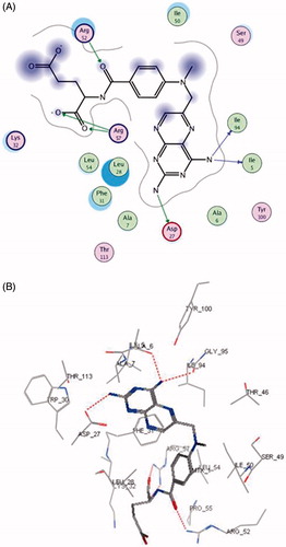 Figure 1. Ligand–protein interactions in methotrexate-DHFR X-ray complex A) 3D, B) 2D interactions.