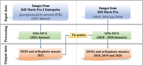 Figure 4. Workflow of UAV image processing was applied to datasets of 2018, 2019, 2020 and 2021 to derive the DSMs and orthophoto mosaics. Tie-points were extracted from the datasets of 2021 and then used for co-registering with 2018, 2019 and 2020 datasets.