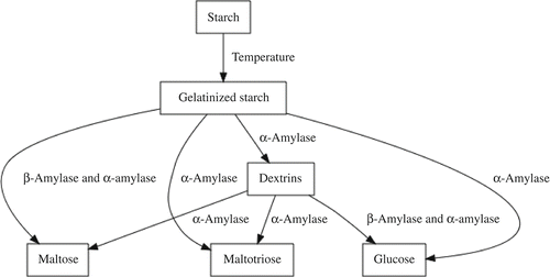Figure 1. Hydrolysis reaction scheme.