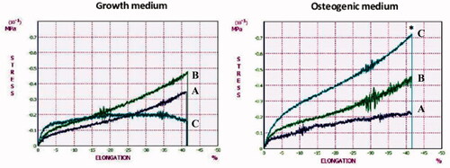 Figure 6. Compressive moduli of WJ-MSCs/scaffold constructs in growth and osteogenic medium at day 7 (dark blue lines), 14 (green lines) and 21 (light blue lines). The constructs in osteogenic medium at day 21 shows a 4.7-fold increase in compressive modulus compared with growth medium (*p < .05).