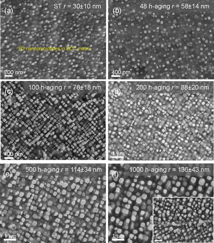 Figure 1. SEM observations of the current alloy after different heat treatments: (a) solid-solutionized at 1473 K for 2 h, (b–f) aged at 973 K for 48 h, 100 h, 200 h, 500 h, and 1000 h, respectively.