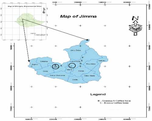 Figure 1. Map of the study sites within the Jimma zone and Ethiopia.