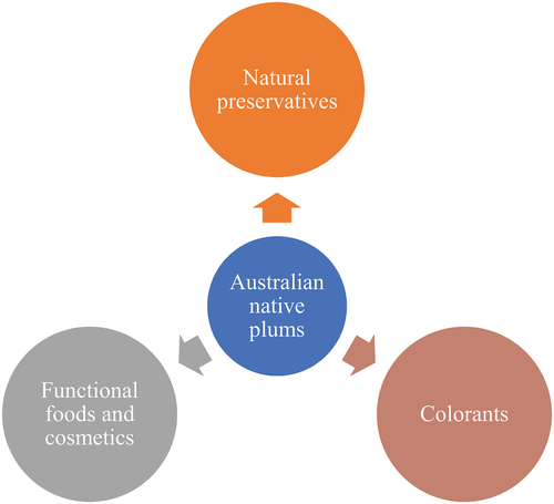 Figure 2. Potential applications of Australian native plums.