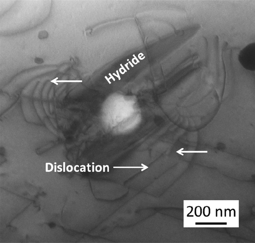 Figure 13. Magnified STEM-BF image of the δ-hydride associated with the Zr(Fe,Cr)2 precipitate.
