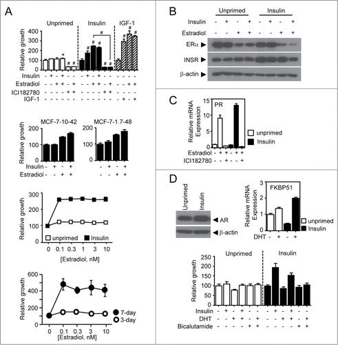 Figure 1. Insulin priming effect on estradiol-induced growth of breast cancer MCF-7 cells. (A) Growth response of the insulin-primed and unprimed MCF-7 cells. Relative growth response was assessed using MTT assay as described in materials and methods. MCF-7 cells were treated with 1 nM of estradiol, 10 nM of insulin, 30 nM of IGF-1, 1 μM ICI 182,780 alone or co-treated with estradiol (top). Note that MCF-7-10-42 and MCF-7-1.7-48 represent independent batches of insulin-primed MCF-7 cells (middle). Both primed and unprimed MCF-7 cells were assayed for estradiol-induced growth response in a dose-dependent manner (2nd bottom) Both primed cells (3-day vs. 7-day priming) were assayed for estradiol-induced growth response in a dose-dependent manner (bottom). (B) The expression of ERα and insulin receptor (INSR) were identified using immunoblot assay after treatment of cells with 1 nM of estradiol and/or 10 nM of insulin for 48 h. (C) mRNA expression of PR in response to estradiol in both cell lines. Total RNAs were isolated from cells treated with 1 nM of estradiol alone or in combination with 1 μM of ICI182,780 for 24 h. (D) Functional evaluation of AR for growth response of the insulin primed and unprimed MCF-7 cells; protein expression of AR (Top left) and mRNA expression of an AR target FKBP51 upon DHT treatment (Top right). Growth response for DHT treatment was assessed using MTT assay after treatment with 1 nM DHT alone or in combination with 10 nM insulin or 1 μM bicalutamide (bottom). White bars-unprimed (□); black bars-primed cells (▪). Values are mean ± SEM. *P < 0.05; #P < 0.001.