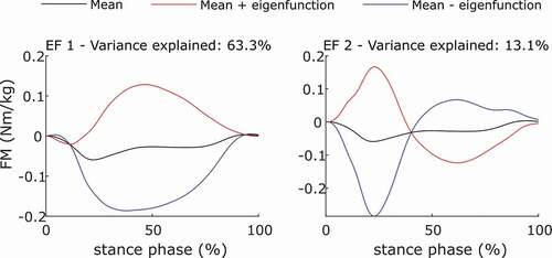 Figure 2. Representative curves for the first 2 Principal component’s modes of variation explaining a total of 90% of the variation present in the current dataset. The first eigenfunction describes the general positive or negative orientation of the FM, which already accounts for 63.3% of the variation. The second eigenfunction describes a change of the orientation during the first 50% of stance, adding another 13.1% of explained variation