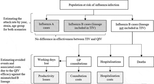 Figure 1. Diagram of the retrospective module. QIV = quadrivalent influenza vaccine; TIV = trivalent influenza.