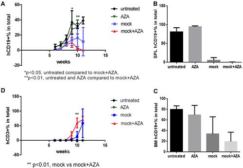 Figure 7 Host priming with AZA promoted GVL effect mediated by mock T cells. Untransduced (mock) T cells were injected 1 week post ALL-2 infusion, and AZA was injected 1 day prior to mock T cell infusion as in Figure 3. (A–C) Human CD19+ leukemia cell engraftment in PB, SPL, and bone marrow (BM). (D) hCD3+ T cell engraftment in PB.