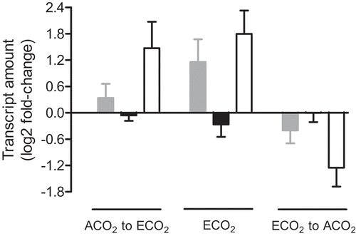 Figure 3. The Nicotiana tabacum leaf transcript amount for genes encoding AOX (gray bars), GPT1 (black bars) and GPT3 (open bars). Plants were germinated at ACO2 (400 ppm) or ECO2 (1000 ppm) for two weeks and then potted and grown for an additional 15 days under their original growth condition, prior to either transcript analysis or transfer to an alternate growth condition. The left-most set of data (ACO2 to ECO2) shows the transcript amount 24 h after transfer of ACO2-grown plants to ECO2, compared to the amount measured in control ACO2-grown plants. The center set of data (ECO2) shows the transcript amount in ECO2-grown plants, compared to the amount measured in control ACO2-grown plants. The right-most set of data (ECO2 to ACO2) shows the transcript amount 24 h after transfer of ECO2-grown plants to ACO2, compared to the amount measured in control ECO2-grown plants. All transcript amounts were normalized to that of a reference gene (EF1) and are relative to the control amount (log2 fold-change). Data are the mean ± SEM of three independent experiments (n = 3). For each independent experiment and treatment, RNA was isolated from leaf tissue (leaf 5) pooled from three replicate plants. RNA was analyzed by qPCR, using the primers listed in Table S1.