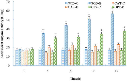 Figure 5. Activity of antioxidant enzymes in the C. nasus liver under salinity stress.Note: C, E indicate control group and experimental group, respectively. Asterisks refer to significant differences at the same time point between the control and the experimental group (P＜0.05).