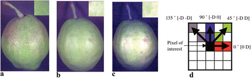 Figure 2. RGB image for (a) unripe, (b) ripe, and (c) overripe pears. (d) Extraction of GLCM at different directions (0°, 45°, 90°, and 135°) and distance (D) for each pixel in the cropped square image.