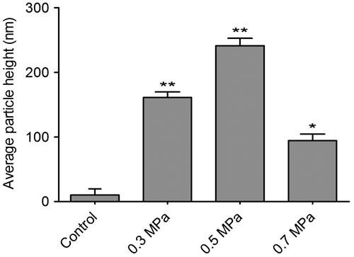 Fig. 3. Quantification of cell-surface granules ascertained from AFM images for various cell samples as indicated in Fig. 2.Notes: The bar graph represents the mean height (±SEM) of particles in each condition. Samples with mechanical compression value in 0.3, 0.5, and 0.7 MPa group have a significant higher average particle size than their untreated controls (*p < 0.01, **p < 0.001).