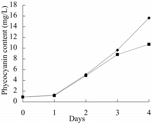 Figure 9. Phycocyanin content of immobilized Spirulina subsalsa with alginate for removing TPT.