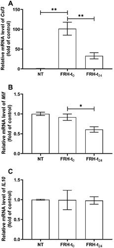 Figure 3. Effects of FRH on the expression of (A) Csf3, (B) Mif and (C) IL10 in rat livers. mRNA expression was determined by RT-qPCR. Data are shown as the mean ± SEM of three independent experiments. Asterisks indicate significant difference between groups (**p < .01, *p < .05). NT: control animals (n = 6), FRH-t0: samples collected directly following FRH treatment (n = 6), FRH-t24: samples collected 24 h post-FRH treatment (n = 5), n: sample size per group.