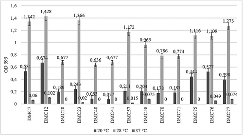 Figure 1. Biofilm production levels of DMC coded 13 S. Infantis strains following the incubation at 20, 28 and 37 °C on polystyrene plates.