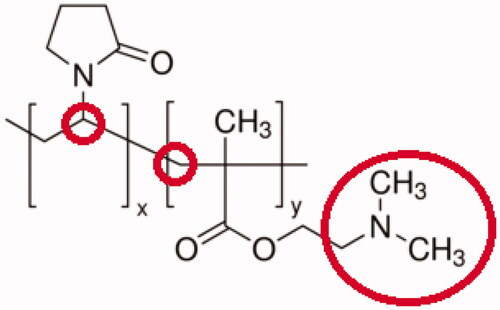 Figure 13. Polar amide group, apolar methylene and methine groups in PVP-co-2-dimethylaminoethyl methacrylate (PVP) backbone.