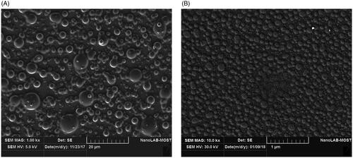 Figure 6. SEM image of (A) pure hesperidin and (B) modified nanohesperidin loaded in PLGA- Polixamar 407.