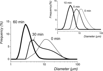 Figure 2 Size distributions of microbubbles filled with N2 saturated with PFH and having a shell made of F-PC measured immediately after dilution of the initial foam, after 30 min and after 60 min, or a shell made of DMPC (inset) at 0 min, 5 min and 10 min.