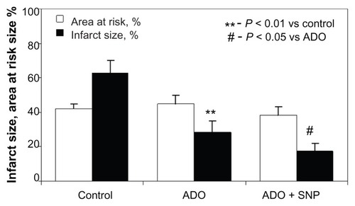 Figure 6 Area at risk size and infarct size in experimental groups.Abbreviations: ADO, adenosine; SNP, silica nanoparticles.