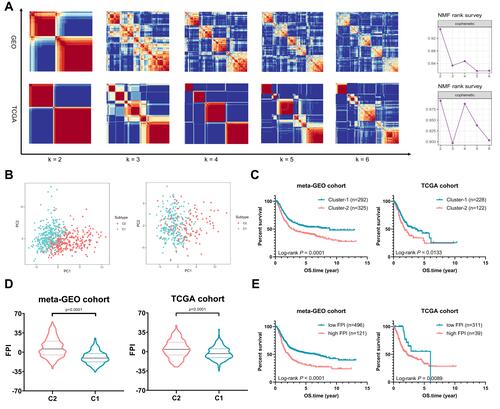 Figure 2 Distribution of Ferroptosis Subtypes using NMF Consensus Clustering. (A) NMF clustering based on 121 ferroptosis-related genes decomposes the samples in meta-GEO and TCGA cohorts. The corresponding cophenetic correlation coefficient of k value between 2 and 6 is shown. (B) Scatter diagrams plotted by PCA sustained decomposition of two clusters. (C) Kaplan–Meier curves show OS for patients in C1 and C2. (D) The violin plots show FPI between C1 and C2. (E) Kaplan–Meier curves show OS for patients stratified by high FPI and low FPI.