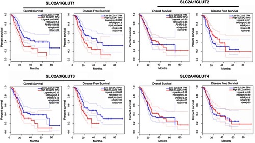 Figure S1 Kaplan-Meier plots of overall and disease-free survival in pancreatic cancer patients with low GLUTs and high GLUTs. Patients with high GLUT1 but not GLUT2-4 is associated with reduced overall survival.