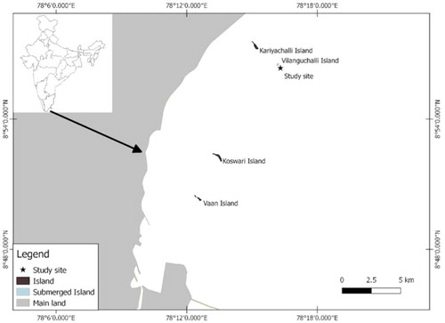 Figure 1. Map of the study site at the Vilanguchalli Island, Gulf of Mannar, southern coast of India