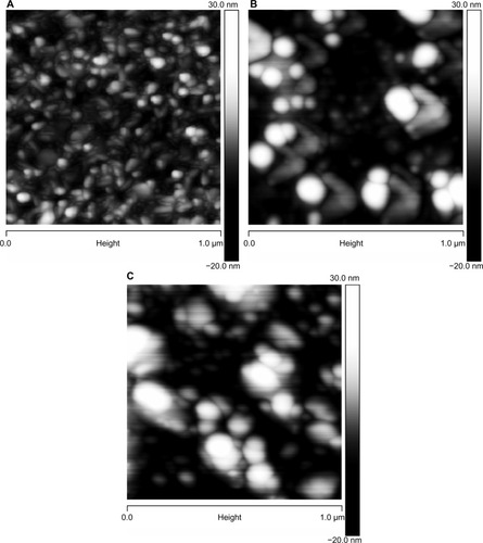 Figure 5 AFM images of titanium surfaces: (A) polished titanium surface; (B) surface functionalized with CHX-HMP-0.5; and (C) surface functionalized with CHX-HMP-5.Note: The horizontal scale is 1 μm and vertical scale is 50 nm.Abbreviations: AFM, atomic force microscopy; CHX-HMP-0.5, chlorhexidine hexametaphosphate (0.5 mmol L−1); CHX-HMP-5, chlorhexidine hexametaphosphate (5 mmol L−1).