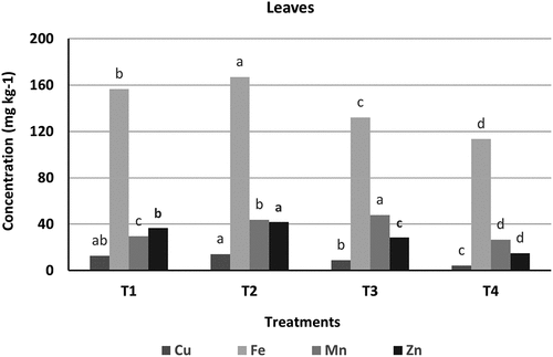 Figure 7. Heavy metals in Maize leaves (mg kg−1).