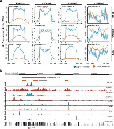 Figure 2. Chromatin modifications at super-enhancers and stretch enhancers.(a) Genome-wide average ChIP-seq profiles for H3K27ac, H3K4me, H3K4me3, and H3K27me3 at super- and stretch enhancers in H1-ESC, GM12878, and K562. (b) Genomic browser screenshot showing super- and stretch enhancers with ChIP-seq signals for H3K27ac, H3K4me1, H3K4me3, P300, and CTCF, and open chromatin (DNaseI), RNA-seq, and conservation at the locus of SOX2 gene in H1-ES cells.