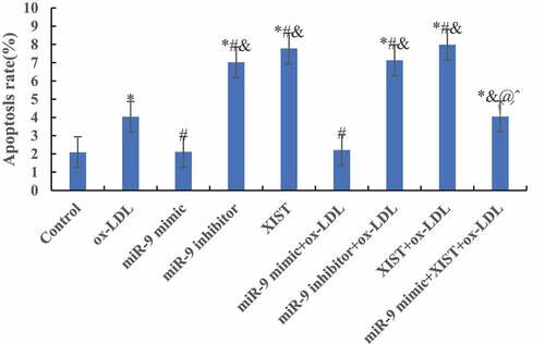 Figure 5. Comparison of apoptosis rates among groups. (Compared with the normal control, * P < 0.05. Compared with ox-LDL, # P < 0.05. Compared with ox-LDL + miR-9 mimic, & P < 0.05. Compared with ox + LDL + miR-9 inhibitor, @ P < 0.05. Compared with ox-LDL + lncRNA XIST, ^ P < 0.05).