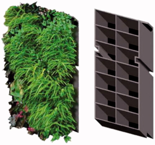 Figure 4. Living green wall module, with plants and empty (Romanova et al., Citation2019, p. 90).