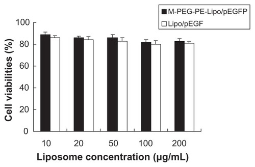 Figure 6 Cell viability of M-PEG-PE-Lipo/pEGFP and Lipo/pEGFP.Abbreviations: M-PEG-PE, mannosylated polyethylene glycol-phosphatidylethanolamine; Lipo, Lipofectamine™; pEGFP, green fluorescence protein plasmid.