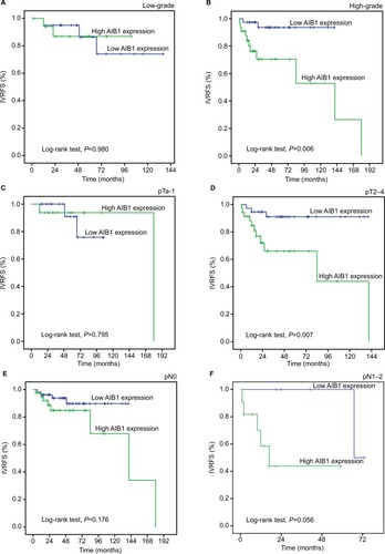 Figure 3 Kaplan–Meier survival analysis of AIB1 expression in subsets of different grades, pT and pN patients with UTUC (log-rank test).Notes: (A) Low-grade, probability of IVRFS of low-grade patients with UTUC: low expression (blue line), n=20; high expression (green line), n=18. (B) High-grade, probability of IVRFS of high-grade patients with UTUC: low expression (blue line), n=38; high expression (green line), n=33. (C) pTa-1, probability of IVRFS of pTa-1 patients with UTUC: low expression (blue line), n=21; high expression (green line), n=16. (D) pT2–4, probability of IVRFS of pT2–4 patients with UTUC: low expression (blue line), n=37; high expression (green line), n=35. (E) pN0, probability of IVRFS of pN0 patients with UTUC: low expression (blue line), n=53; high expression (green line), n=40. (F) pN1–2, probability of IVRFS of pN1–2 patients with UTUC: low expression (blue line), n=5; high expression (green line), n=11.Abbreviations: IVRFS, intravesical recurrence-free survival; UTUC, upper tract urothelial carcinoma.